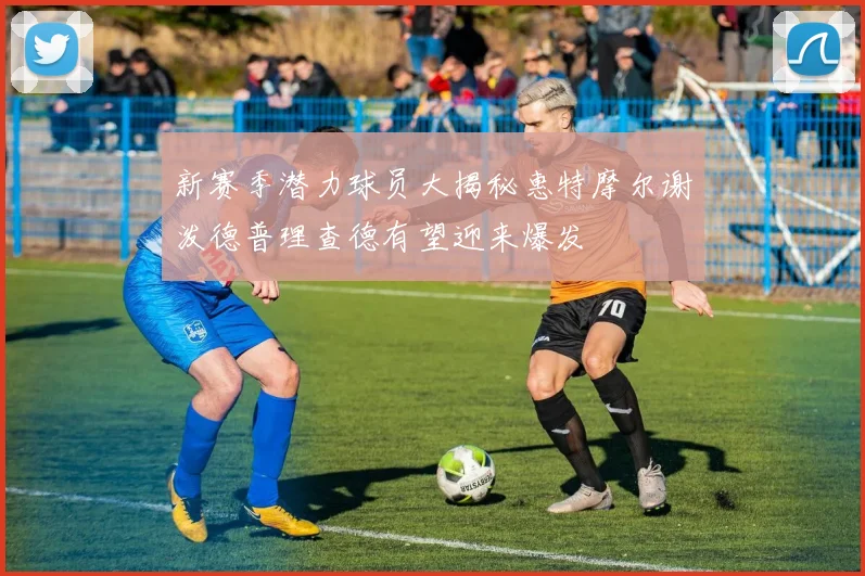新赛季潜力球员大揭秘惠特摩尔谢泼德普理查德有望迎来爆发