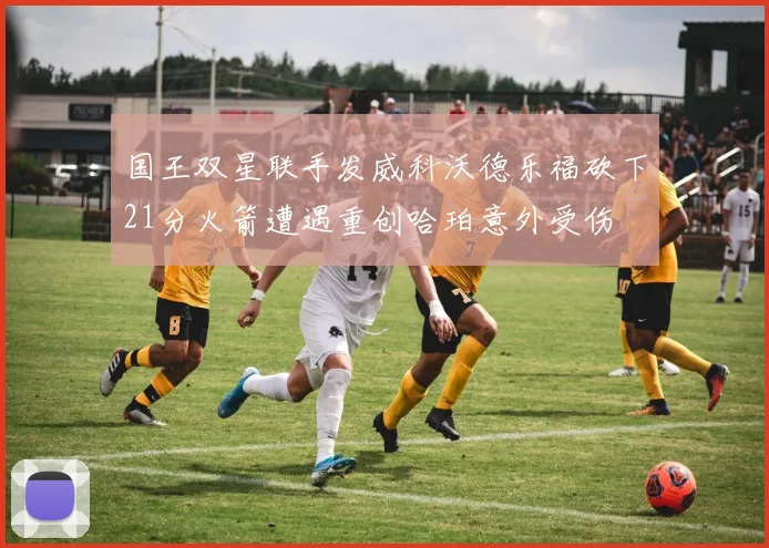 国王双星联手发威科沃德乐福砍下21分火箭遭遇重创哈珀意外受伤