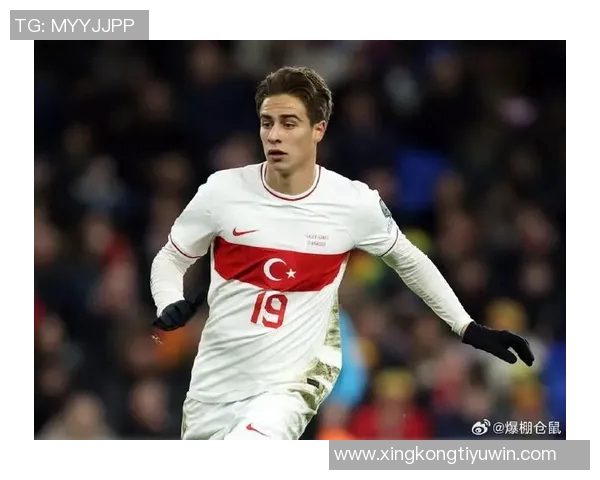 土耳其国家队新名单公布居莱尔恰尔汗奥卢伊尔迪兹入选乌尊未能入选 土耳其国家队新名单公布居莱尔恰尔汗奥卢伊尔迪兹入选乌尊未能入选