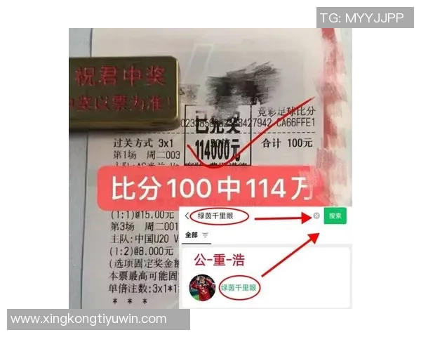 纽卡斯尔本赛季表现分析：联赛低迷与欧冠战绩对比探讨